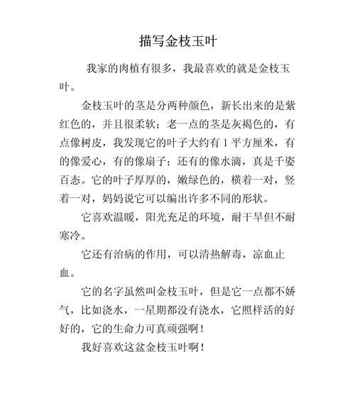 金枝玉叶花的花语是什么？它象征着什么？