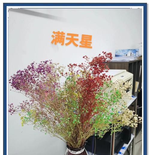 七彩满天星的花语有哪些寓意？