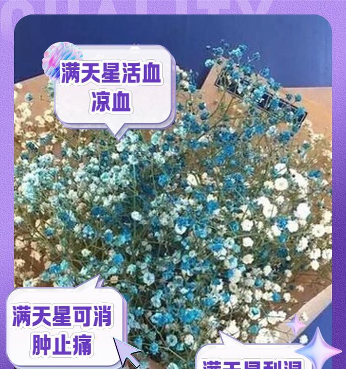 七彩满天星的花语有哪些寓意？