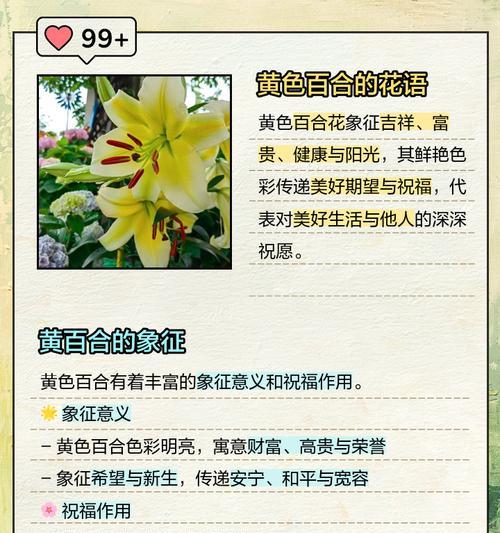 橘色百合花的花语是什么？