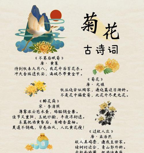 菊花的花语有哪些？菊花代表了什么？