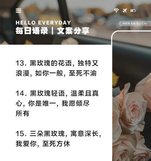 黑玫瑰花语大全包含多少种？