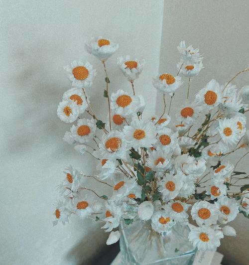 鲁丹鸟花语背后的故事是什么？
