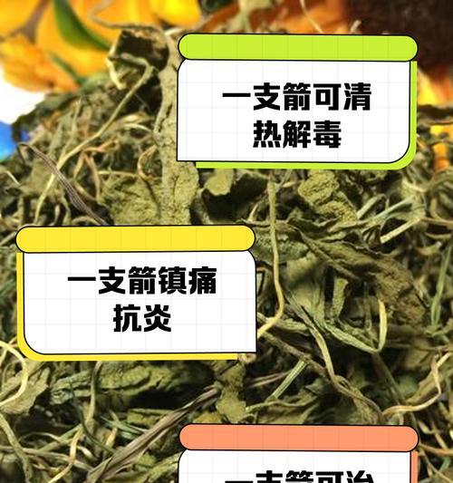 毒箭木的花语有哪些独特之处？