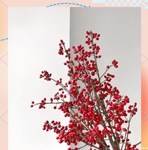 红果枝的花语能传达哪些信息？