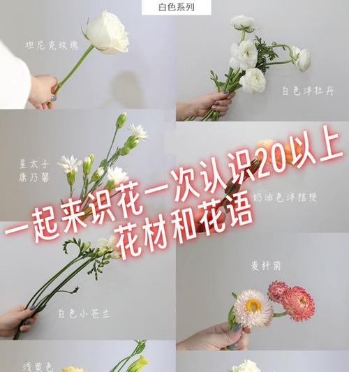 爱染锦花语代表了什么？