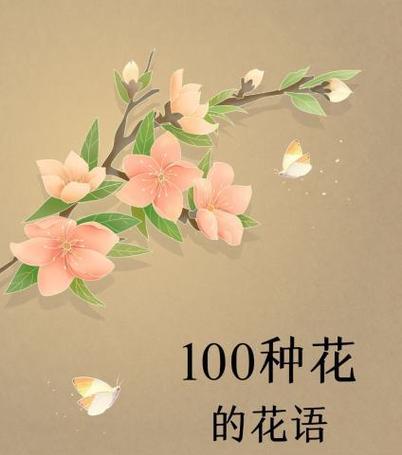 爱染锦花语代表了什么？