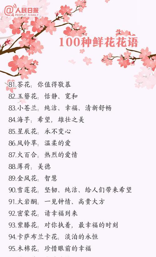 明矾的花语是什么？它象征着什么？