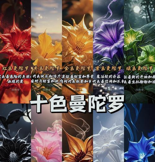 黄色堇花语的寓意是什么？它在花语中扮演什么角色？