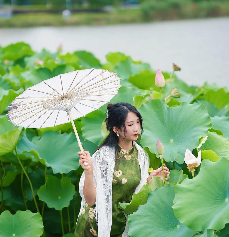 荷花花语的寓意是什么？它在东方文化中有哪些象征？
