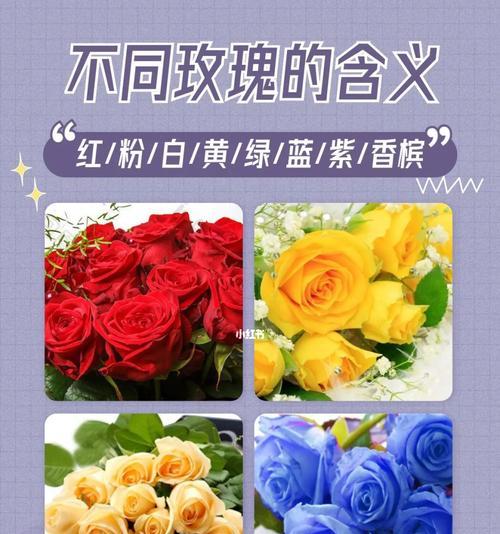 辣椒花花语的含义是什么？它在植物界中扮演什么角色？