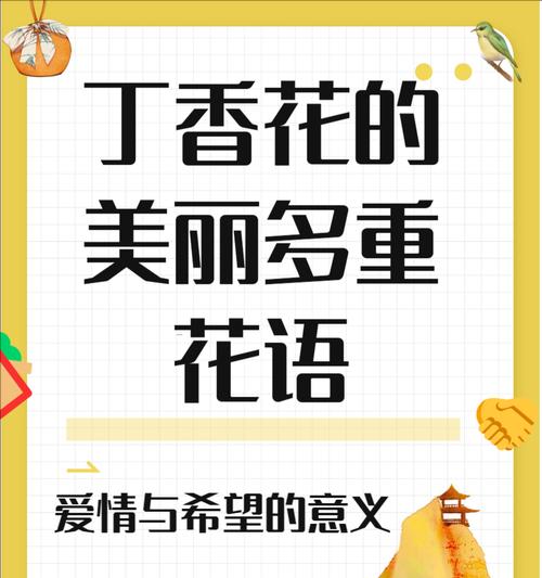 花语的起源是哪里？花语在不同文化中的差异是什么？