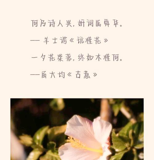 木檀花花语是什么意思？