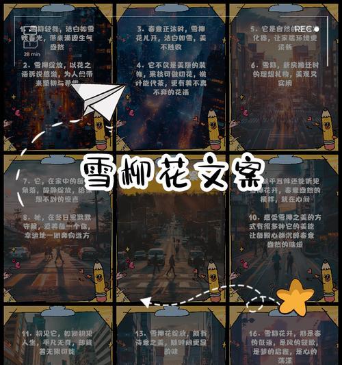 小花花花语代表什么含义？