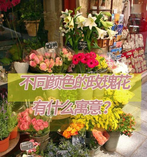 樟木花花语代表什么含义？