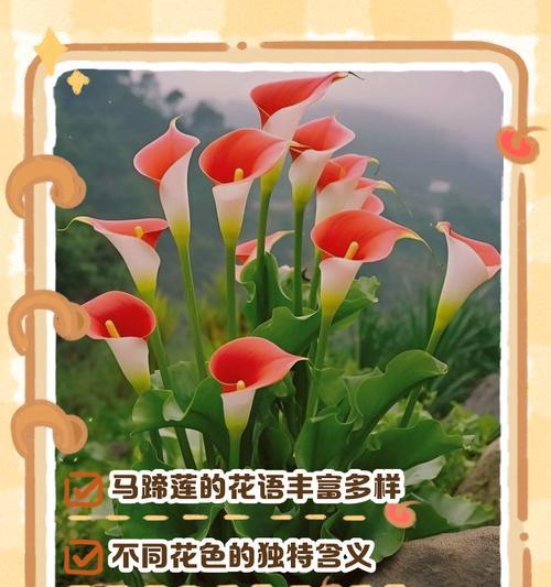 莲花的花语是什么？它在文化中有什么寓意？