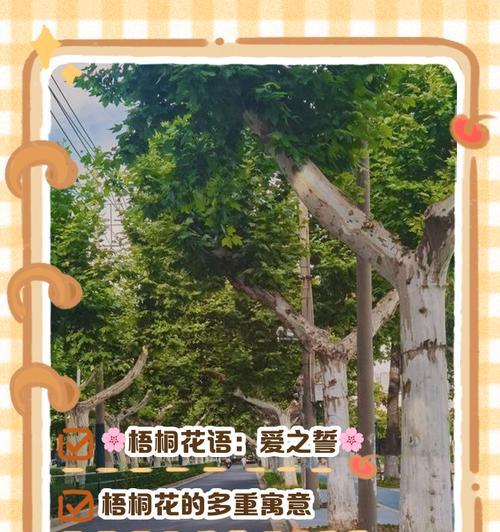 想起的花语是什么？它如何唤起记忆？