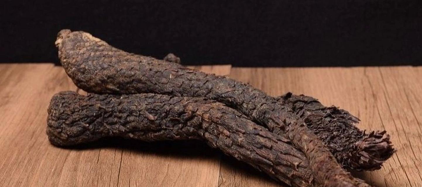 苁蓉的花语是什么？苁蓉象征着什么？