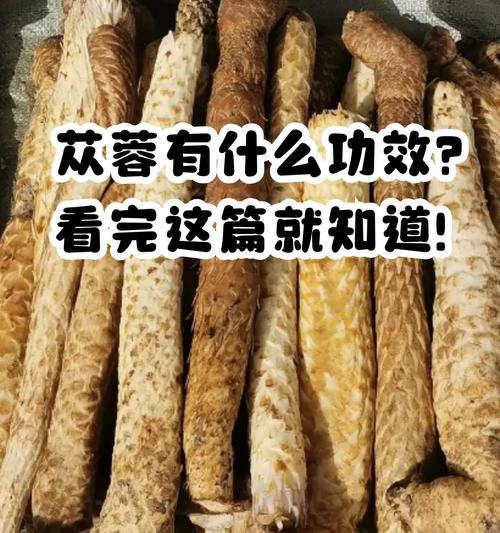 苁蓉的花语是什么？苁蓉象征着什么？
