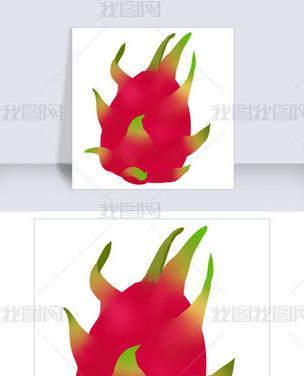 红龙果花语是什么意思？红龙果象征着什么？