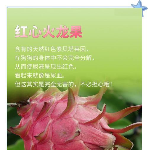 红龙果花语是什么意思？红龙果象征着什么？