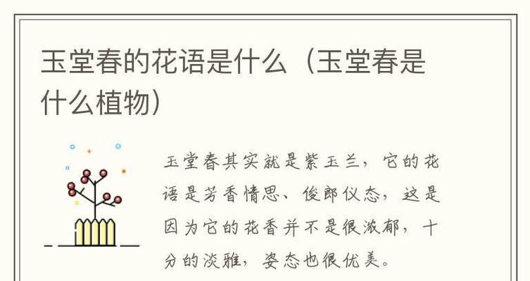 古现代花语有哪些含义？古现代花语代表了什么？
