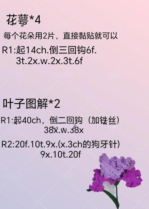 鸾尾草花语是什么？如何表达爱意？