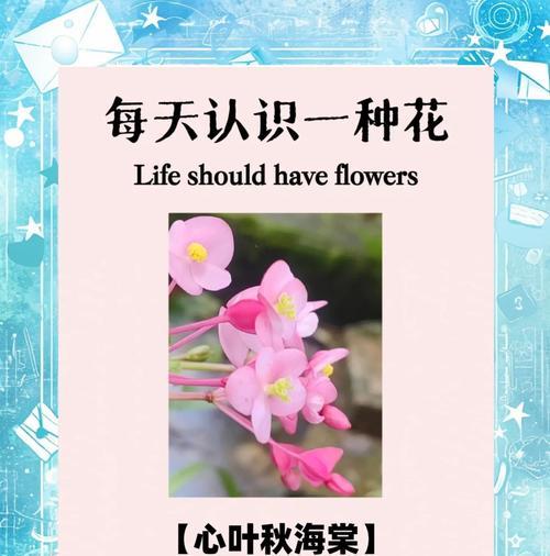 秋玫瑰花语代表什么？秋玫瑰的寓意是什么？