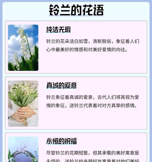 秋季花卉的花语有哪些？如何通过它们表达情感？