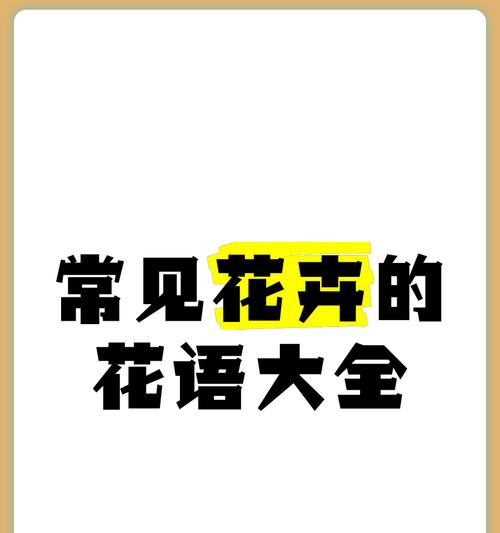 秋季花卉的花语有哪些？如何通过它们表达情感？