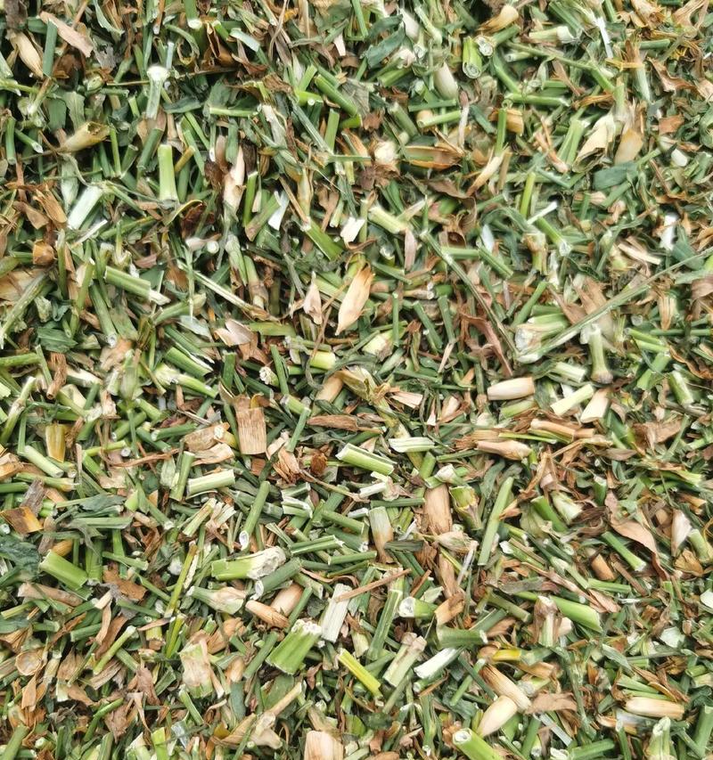 红瞿麦花语代表什么？红瞿麦花语在不同文化中的意义是什么？
