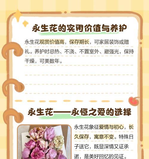 干蔷薇花语代表了什么？如何制作干花？