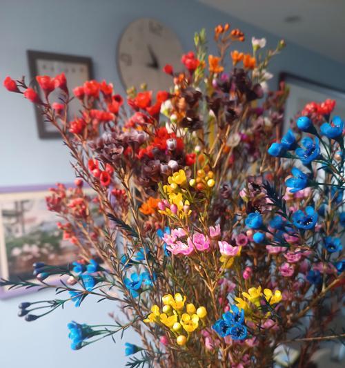干蔷薇花语代表了什么？如何制作干花？
