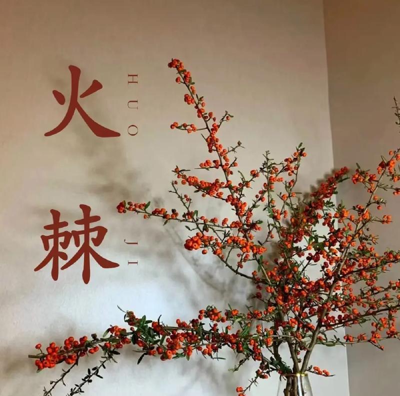 火棘树的花语有哪些？如何进行修剪？