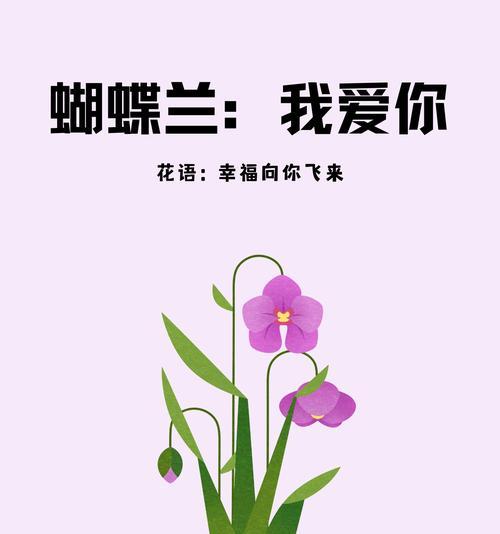 葫蝶兰花语代表什么？它传递了哪些信息？