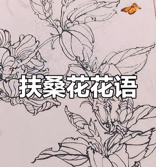 株槿花花语有何深意？它象征着什么？
