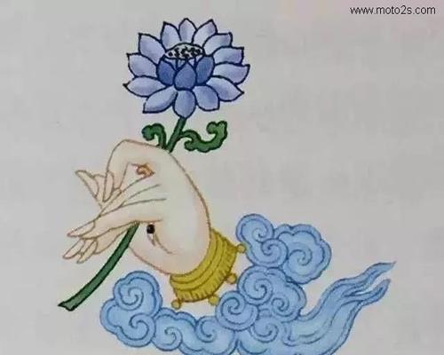 马蝶花花语是什么？它有什么寓意？