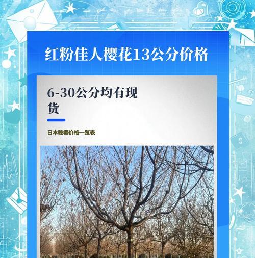 红樱花花语背后的故事是什么？