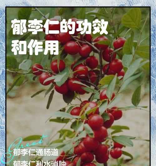 郁李花花语的象征意义是什么？