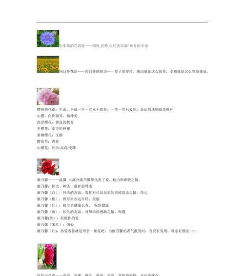 凌香花花语的深层含义是什么？
