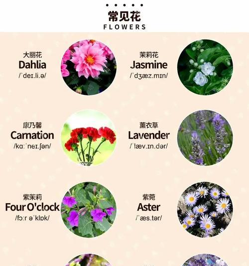凌香花花语的深层含义是什么？