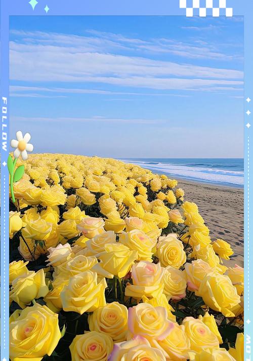 红竹花语传达了哪些情感？