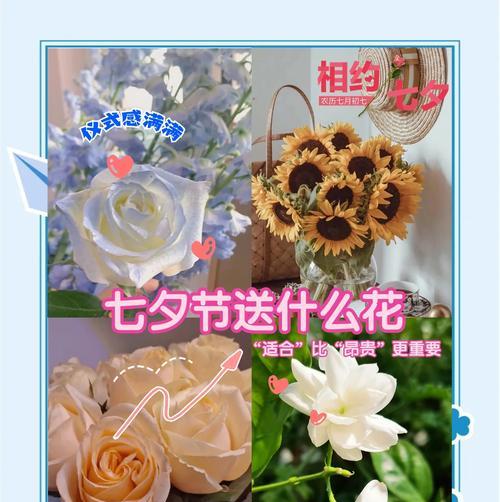 诸实子的花语传达了哪些信息？