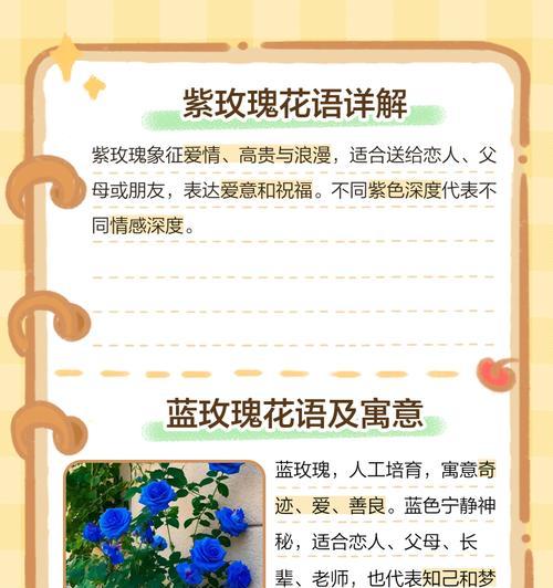 康玫瑰花语有何特别之处？适合送谁？
