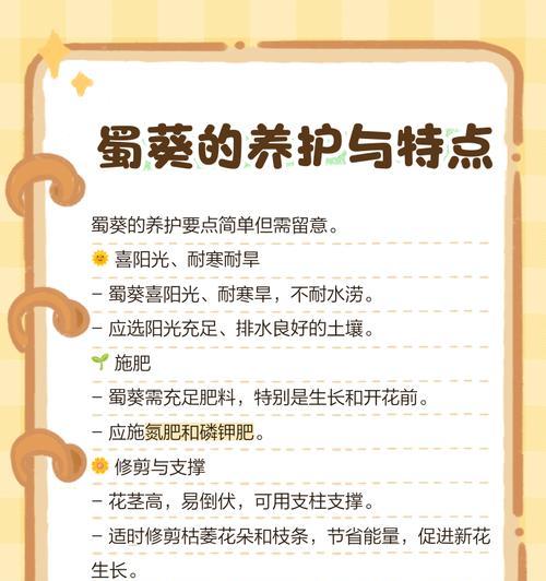 紫蜀葵花语代表了什么？它的寓意是什么？