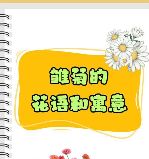 小维菊花语代表了什么？它有何深意？