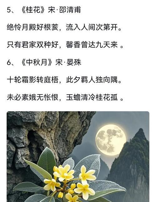银桂花花语有何深意？它传递了哪些情感？