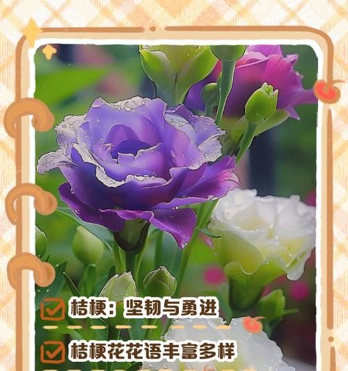绿橘梗花语有何深意？绿橘梗的花语能传达哪些情感？