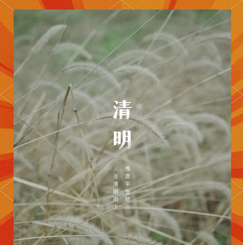 指夹花花语是什么？如何正确解读指夹花的含义？