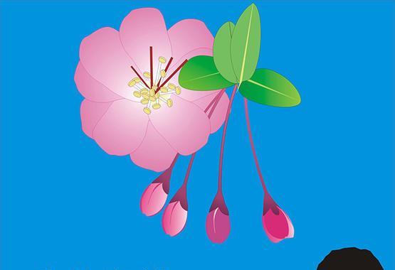 潭花的花语是什么？潭花象征着什么？